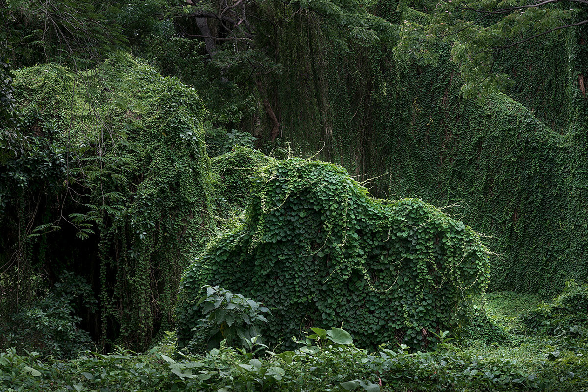 Выставка «Анхела Копелло. Совершенство». 2025