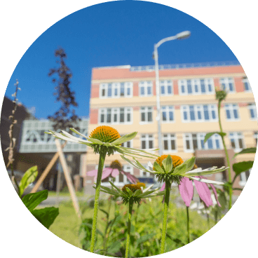 Школа Северная Долина